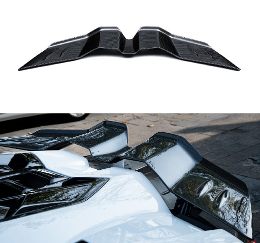 Lamborghini Revuelto - MSY Style Prepreg Dry Carbon Fiber Rear Spoiler