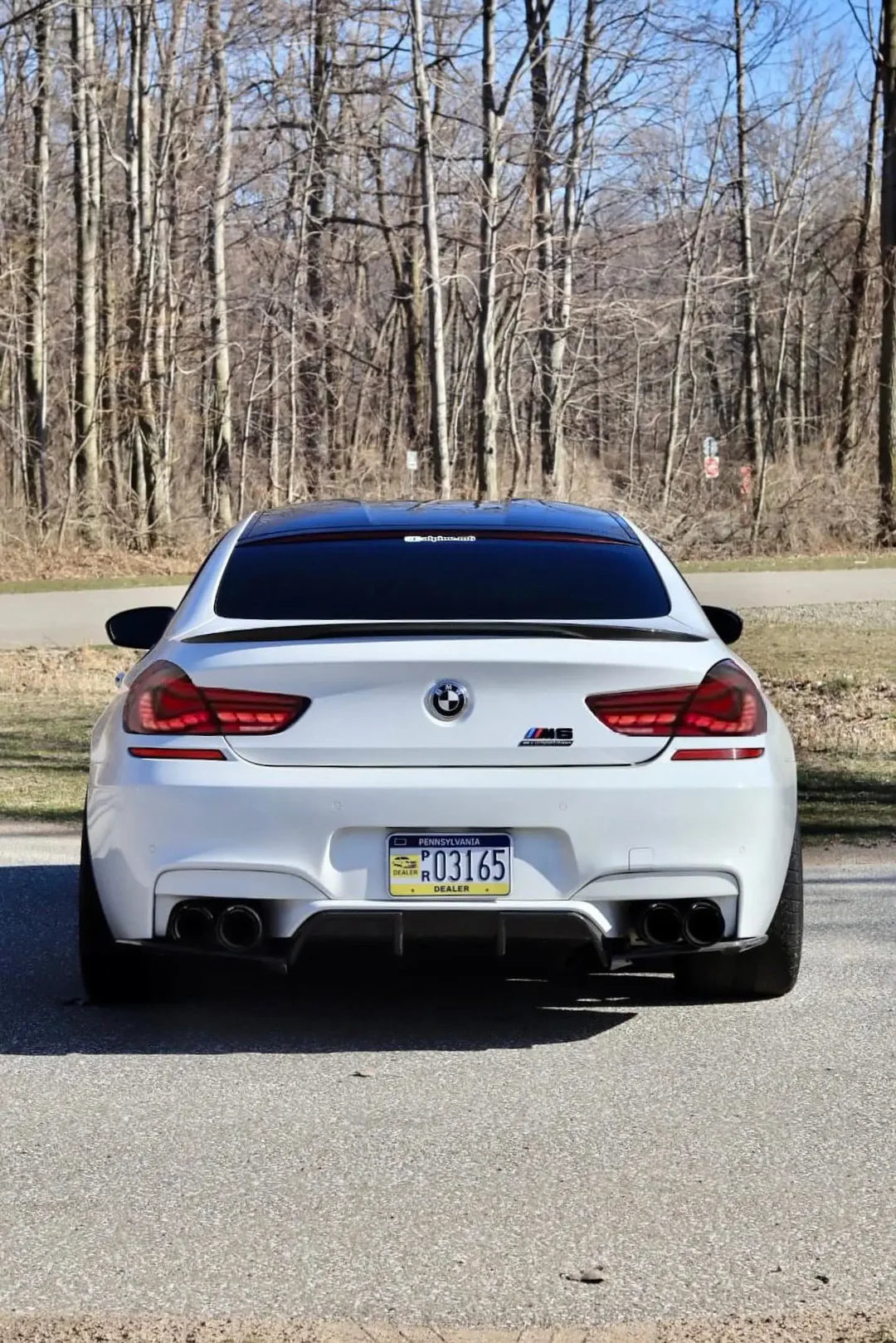 BMW F06/F12 6 Series – GTS Style Dragon Scale OLED Tail Lights