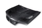 BMW E46 M3 & 3 Series - GTR Style Carbon Fiber Front Hood
