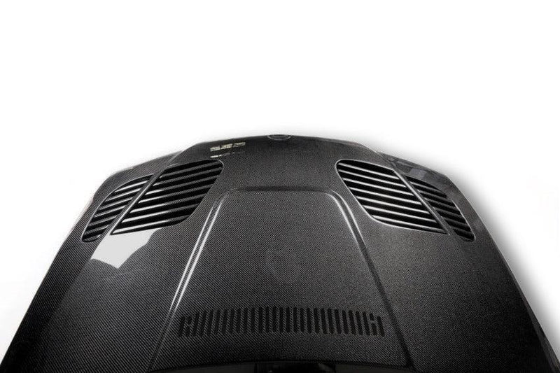 BMW E46 M3 & 3 Series - GTR Style Carbon Fiber Front Hood
