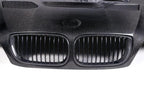 BMW E46 M3 & 3 Series - GTR Style Carbon Fiber Front Hood