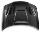 BMW E46 M3 & 3 Series - GTR Style Carbon Fiber Front Hood