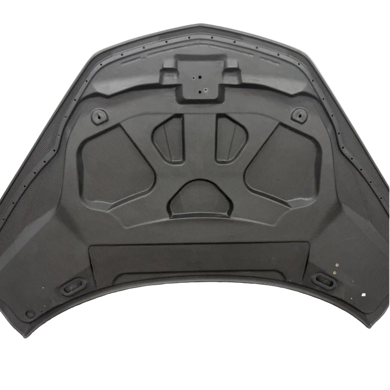 Lamborghini Revuelto – Ten Style Dry Carbon Fiber Front Hood