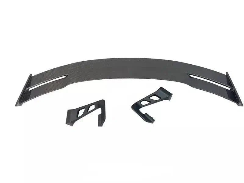 Audi TTRS Carbon Fiber Dual Hole Wing