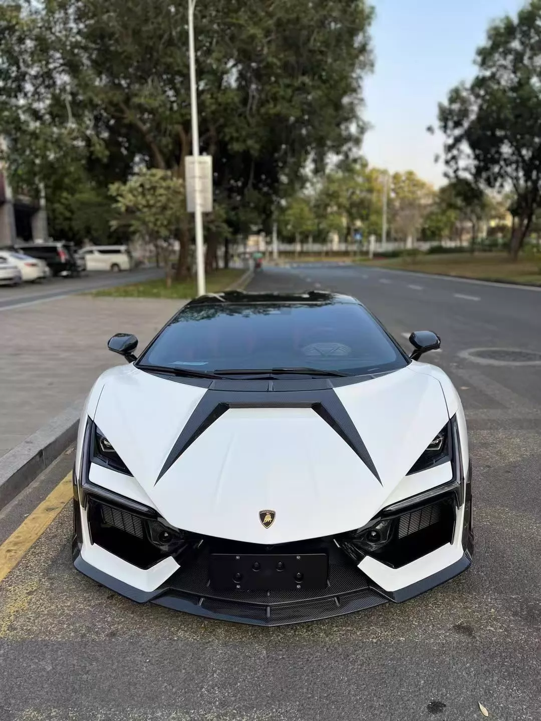 Lamborghini Revuelto - MSY Style Prepreg Dry Carbon Fiber Middle Air Splitter