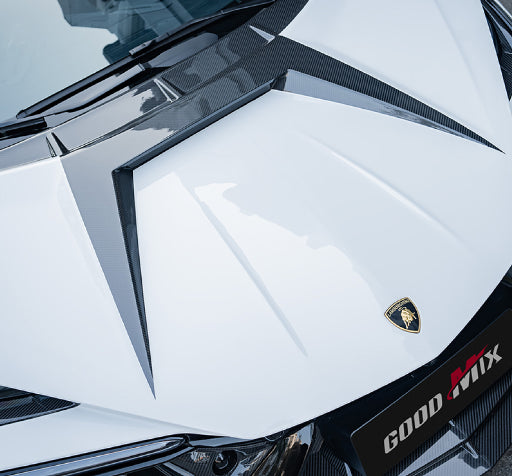 Lamborghini Revuelto - MSY Style Prepreg Dry Carbon Fiber Front Radar Cover