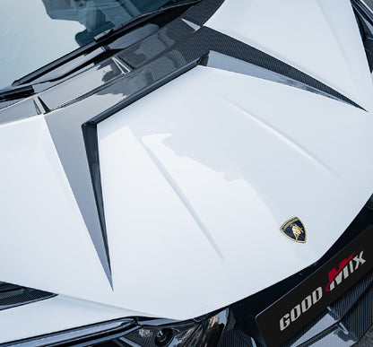 Lamborghini Revuelto - MSY Style Prepreg Dry Carbon Fiber Front Radar Cover