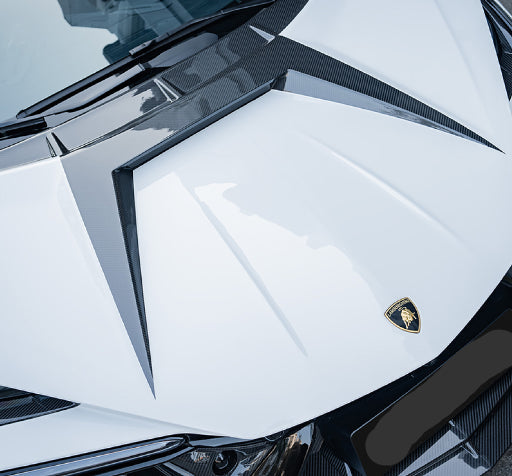 Lamborghini Revuelto - MSY Style Prepreg Dry Carbon Fiber Front Radar Cover